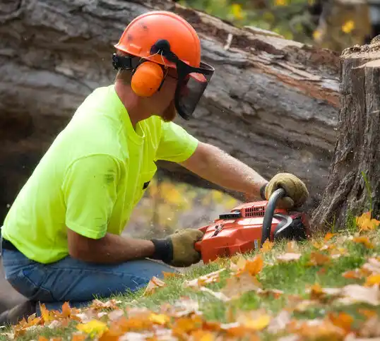 tree services Center Line